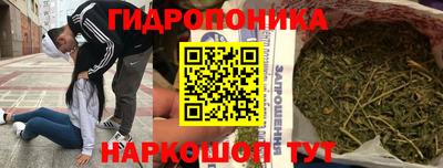 ECSTASY Рузаевка