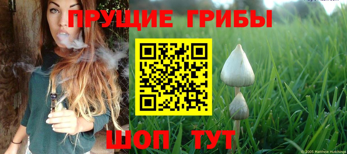 Сокол  Галлюциногенные грибы прущие грибы  закладка  Вход с VPN 