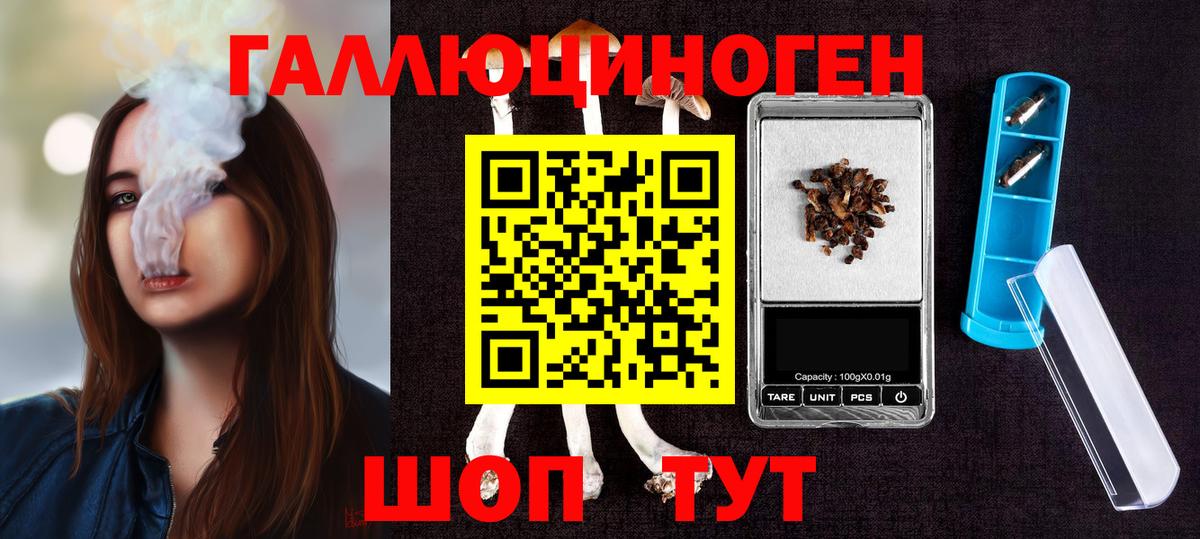 Галлюциногенные грибы прущие грибы Сокол
